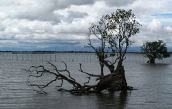 Calm Before The Storm......(Typhoon Auring) by Bernard Maglana 